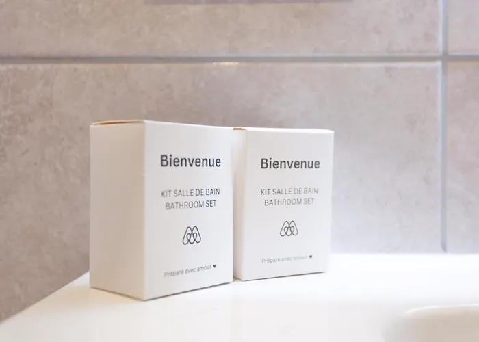 L'escapade Valencienne - Confort Et Modernite *